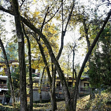 Hotel Restaurant Dreri Tirana Kültér fotó